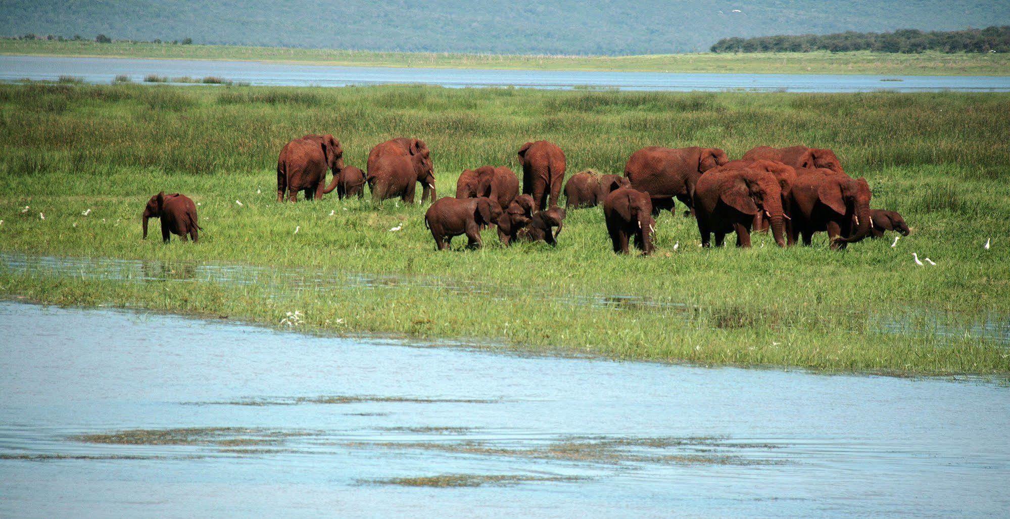Shayamoya Tiger Fishing And Game Lodge Pongola Εξωτερικό φωτογραφία